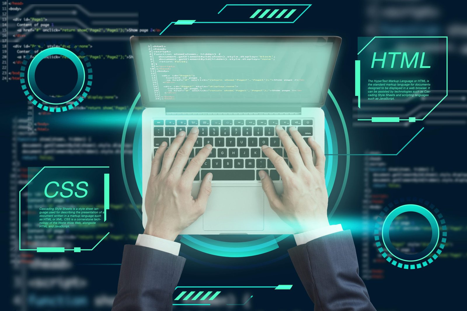 Custom CMS Developer